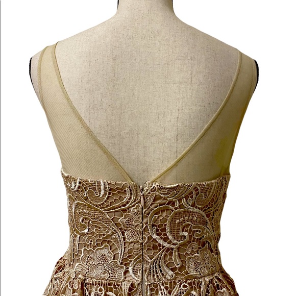 ADRIANNA PAPELL Lace Illusion Midi Size 4 - Picture 9 of 15